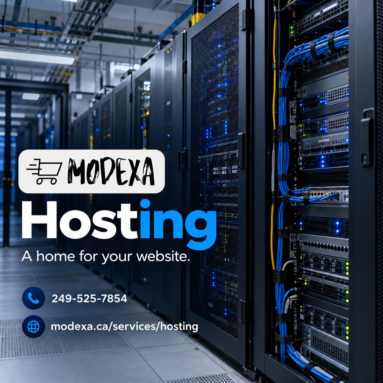 Modexa web hosting service illustration with server racks